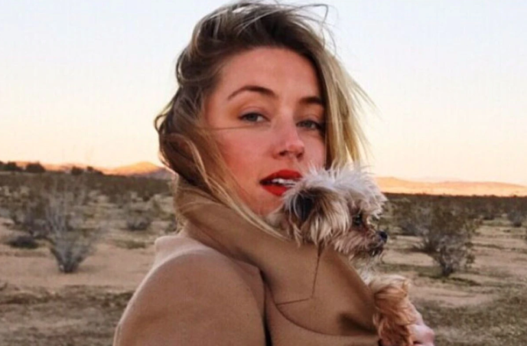Aseguran que investigarían a Amber Heard por perjurio viajó junto a Johnny Depp sin declarar a sus perros en el aeropuerto de Australia en 2015.